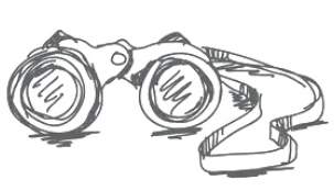 Vision Vision